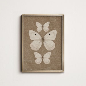 May include: A framed print of three white butterflies on a brown background. The butterflies are arranged in a vertical line, with the largest butterfly at the bottom and the smallest butterfly at the top.