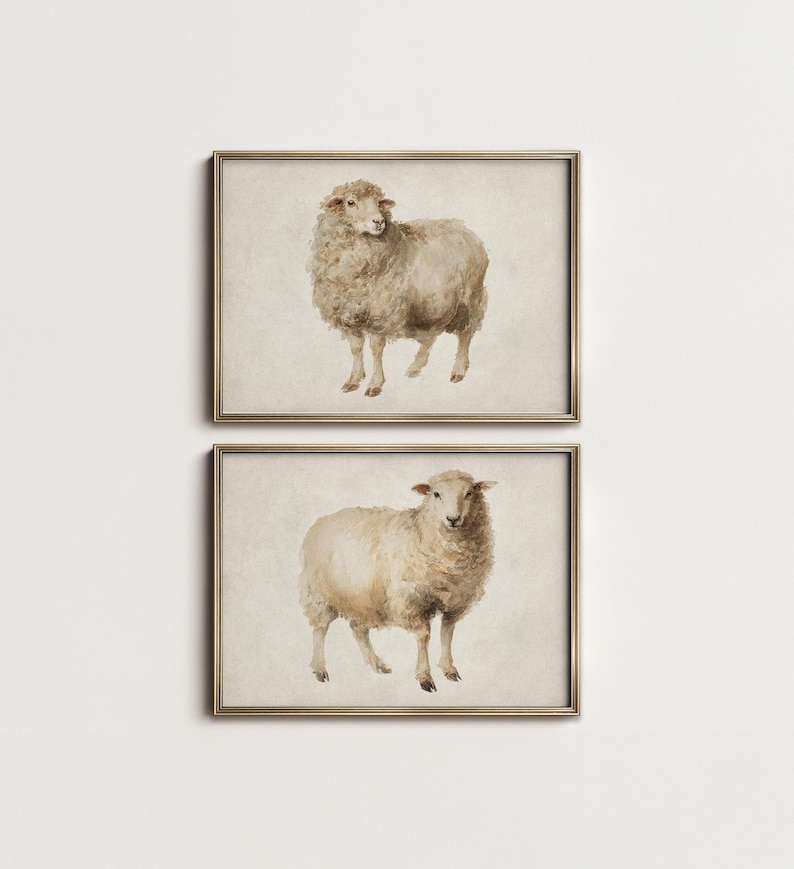 May include: Two framed watercolor prints of sheep. Each print features a sheep in a neutral color palette, with a beige background and a gold-colored frame. The sheep are depicted in a realistic style.