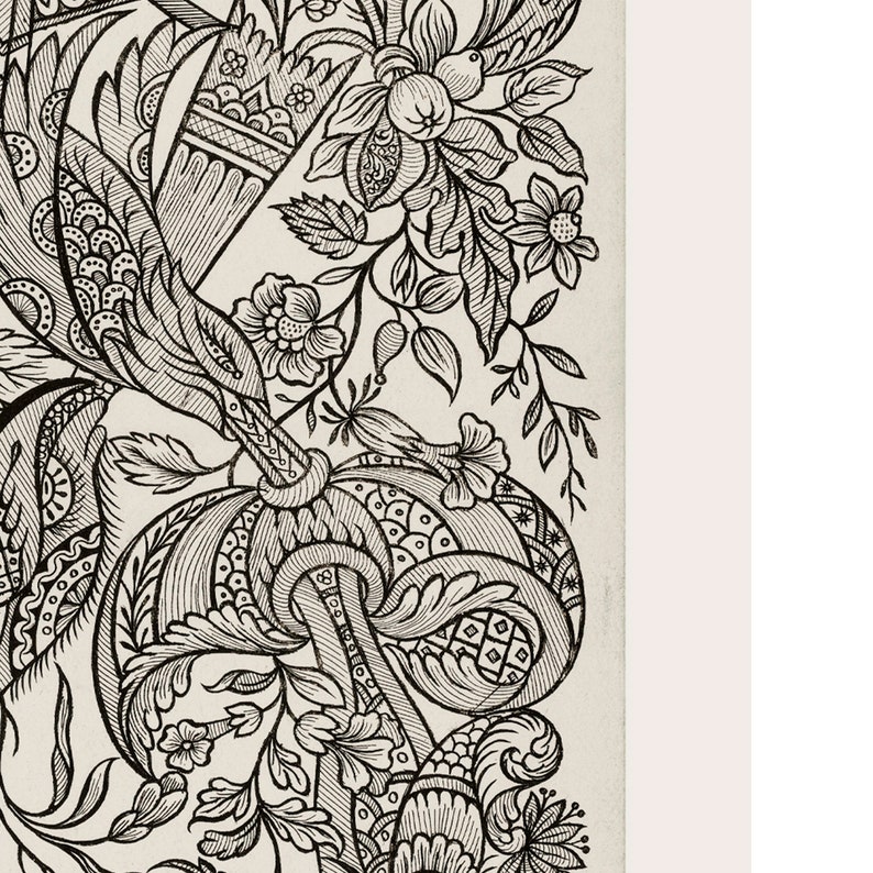 K&ouml;nnte beinhalten: Eine Schwarzwei&szlig;illustration eines floralen Designs mit komplizierten Details. Das Design zeigt eine Vielzahl von Blumen, Bl&auml;ttern und Stielen, die alle in einem komplexen Muster miteinander verwoben sind.