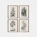 Vintage Gallery Wall Print Set | Tree Sketches Etching Print | Digital PRINTABLE | S4-5