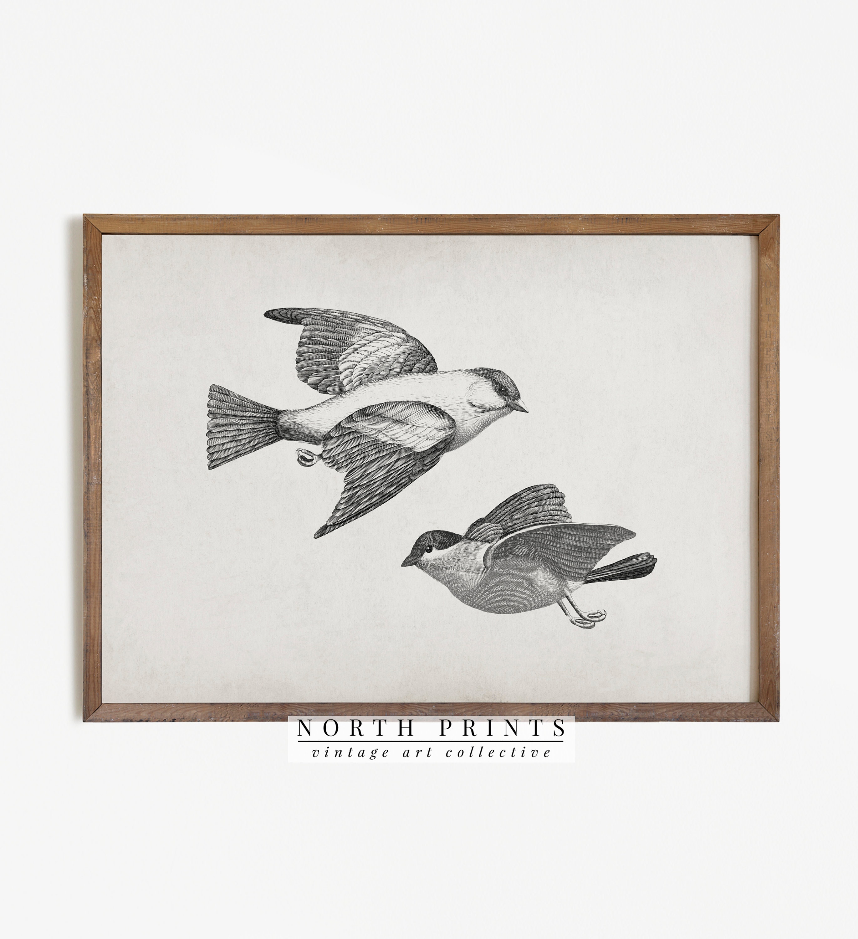 Vintage Bird Sketch Art Print: Neutral Farmhouse Decor (digital