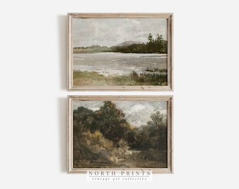 May include: Two framed landscape paintings. The top painting depicts a lake with a distant mountain range, while the bottom painting shows a forest scene. Both paintings have a muted color palette and are framed in light wood.