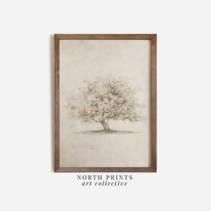 Op de afbeelding: Een ingelijste print van een zwart-witte tekening van een boom met een textuur achtergrond. De print is in een houten lijst en heeft de tekst "NORTH PRINTS art collective" onderaan.