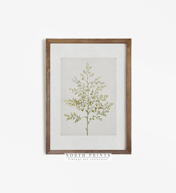 Vintage Botanical Print | French Country Decor Art PRINTABLE #573