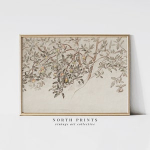 Impresión artística de boceto de manzano vintage: decoración rústica de estilo rústico, descargable digitalmente, 4-56