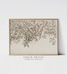 Rustic Neutral Apple Tree Sketch | Vintage Farmhouse Kitchen Art Print | Digital PRINTABLE | 924 