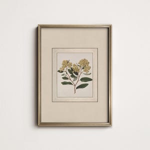 Neutral Botanical Print: PRINTABLE Vintage Flower Wall Art (Digital Download) 9-36