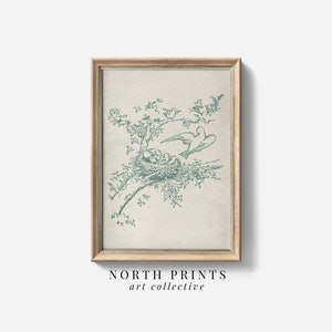 Vintage Nursery Bird Sketch PRINTABLE | Teal Green Farmhouse Bedroom Wall Art Print | Digital Download North Prints SK-311