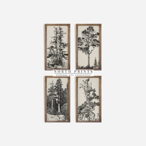 North Prints Vintage Rustikaler Baum Galerie Wand Skizzen | Rustikales Radierungs-Set mit vier Drucken | Digital DRUCKBAR | S4-17