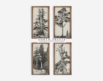 North Prints Vintage Rustic Tree Gallery Wall Sketches | Rustic Etching Set of Four Prints | Digital PRINTABLE | S4-17