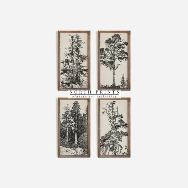 North Prints Vintage Rustic Tree Gallery Wall Sketches | Rustic Etching Set of Four Prints | Digital PRINTABLE | S4-17