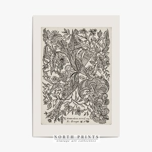 K&ouml;nnte beinhalten: Schwarz-wei&szlig;es botanisches Vintage-Illustration mit einem stilisierten floralen Design mit filigranen Details. Das Bild zeigt eine Vielzahl von Blumen, Bl&auml;ttern und Stielen, die in einem symmetrischen Muster angeordnet sind. Der Text "Anno Domini 1593" und "A. Springer" ist am unteren Rand des Bildes sichtbar.