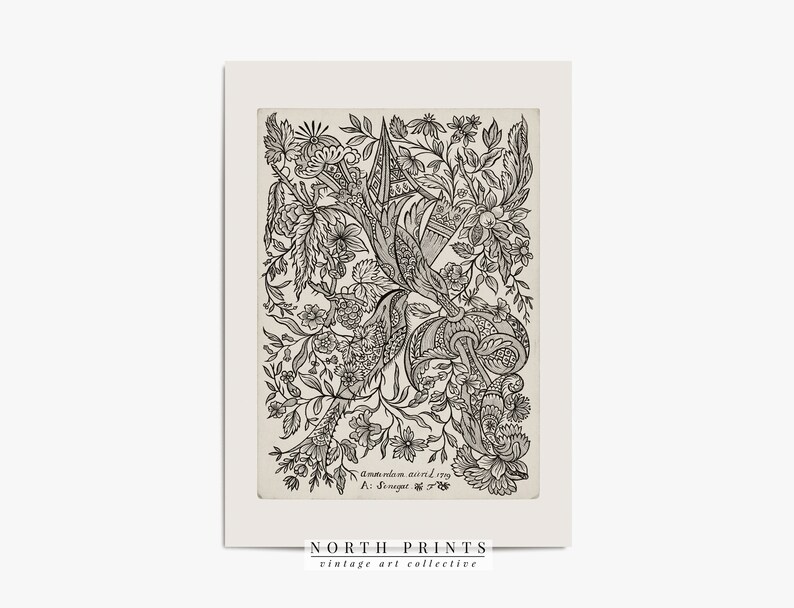 K&ouml;nnte beinhalten: Schwarz-wei&szlig;es botanisches Vintage-Illustration mit einem stilisierten floralen Design mit filigranen Details. Das Bild zeigt eine Vielzahl von Blumen, Bl&auml;ttern und Stielen, die in einem symmetrischen Muster angeordnet sind. Der Text "Anno Domini 1593" und "A. Springer" ist am unteren Rand des Bildes sichtbar.