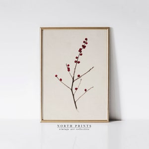 Winter Berry Branch Art Holiday PRINTABLE Christmas Vintage Wall Art | North Prints Downloadable Digital | W39