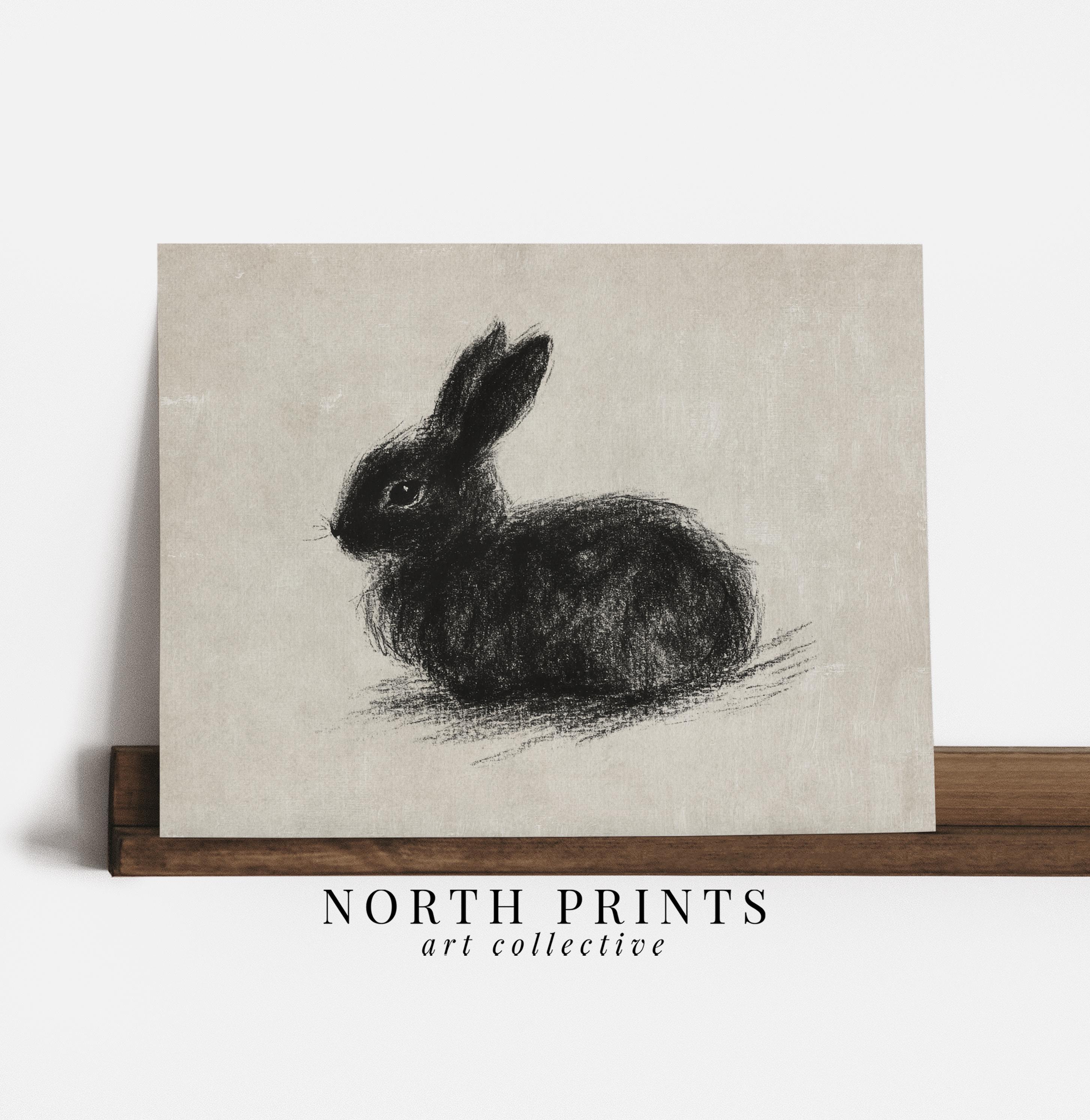 Rabbit Charcoal Sketch: Rustic Woodland Art (digital PRINTABLE) 9-93 - Etsy