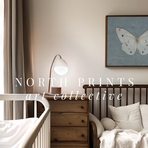 May include: A white butterfly with black markings is displayed in a framed print with a light blue background. The print is hanging on a white wall above a wooden couch with white pillows. The text "NORTH PRINTS art collective" is visible in the image.