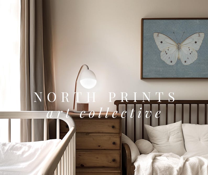 May include: A white butterfly with black markings is displayed in a framed print with a light blue background. The print is hanging on a white wall above a wooden couch with white pillows. The text "NORTH PRINTS art collective" is visible in the image.