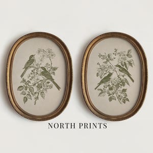 May include: Two framed oval prints featuring green illustrations of birds perched on flowering branches. The frames are gold-colored with a detailed, ornate design. The text "NORTH PRINTS" is printed at the bottom of the image.