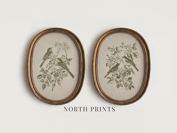 French Country Bird Prints Set: Antique Olive Green Botanical PRINTABLE Wall Art (Digital Download) S2-170
