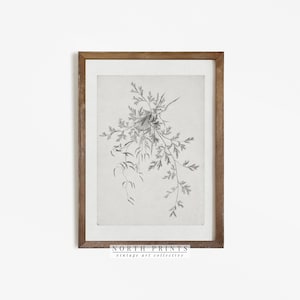 Antique Neutral Botanical Drawing | Vintage Sketch Art DIGITAL Download PRINTABLE #472