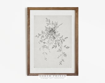 Antique Neutral Botanical Drawing | Vintage Sketch Art DIGITAL Download PRINTABLE #472