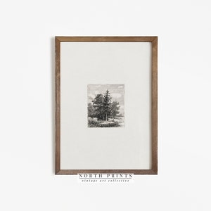 Stampa di albero d'epoca / Disegno di paesaggio neutro antico STAMPABILE North Prints / 563