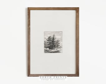 Vintage Tree Print | Antique Neutral Landscape Drawing PRINTABLE North Prints | 563