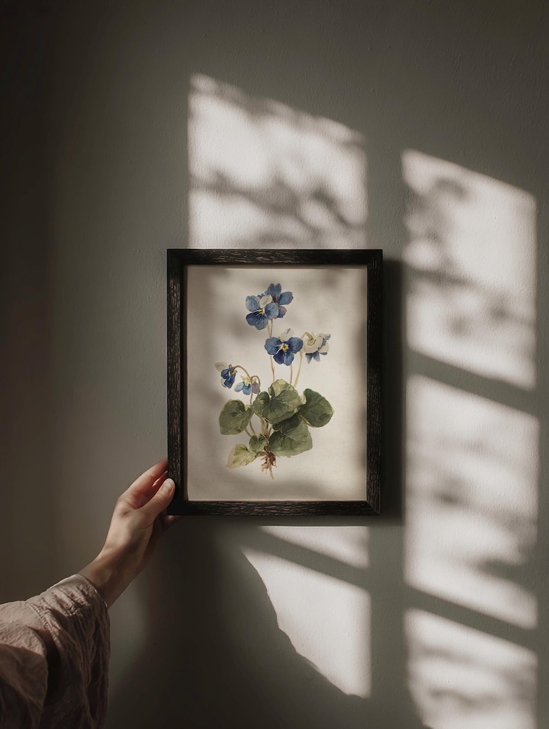K&ouml;nnte beinhalten: Ein gerahmter botanischer Druck mit einer Aquarellillustration von blauen und wei&szlig;en Veilchen mit gr&uuml;nen Bl&auml;ttern und einem sichtbaren Wurzelsystem. Das Kunstwerk befindet sich in einem dunklen Holzrahmen, der vor einer neutralen Wand mit Schatten ausgestellt ist.