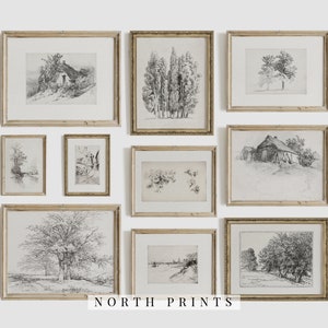 Neutral Living Room Gallery Wall Art Set | Vintage Sketch Prints | Etching Home Decor PRINTABLE | S54