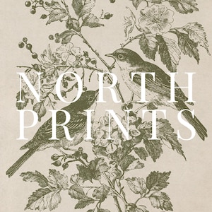 May include: A vintage-style print featuring two birds perched on a flowering branch. The artwork is in shades of green and white, with the text "NORTH PRINTS" overlaid on the image. The background is a neutral beige.