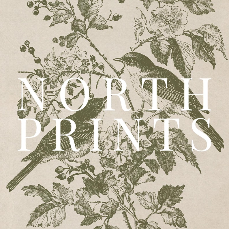 May include: A vintage-style print featuring two birds perched on a flowering branch. The artwork is in shades of green and white, with the text "NORTH PRINTS" overlaid on the image. The background is a neutral beige.