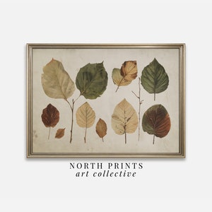 Rustic Autumn Botanical Wall Art PRINTABLE | Fall Leaves Study | Cozy Cabin Wall Decor North Prints Digital Download A28