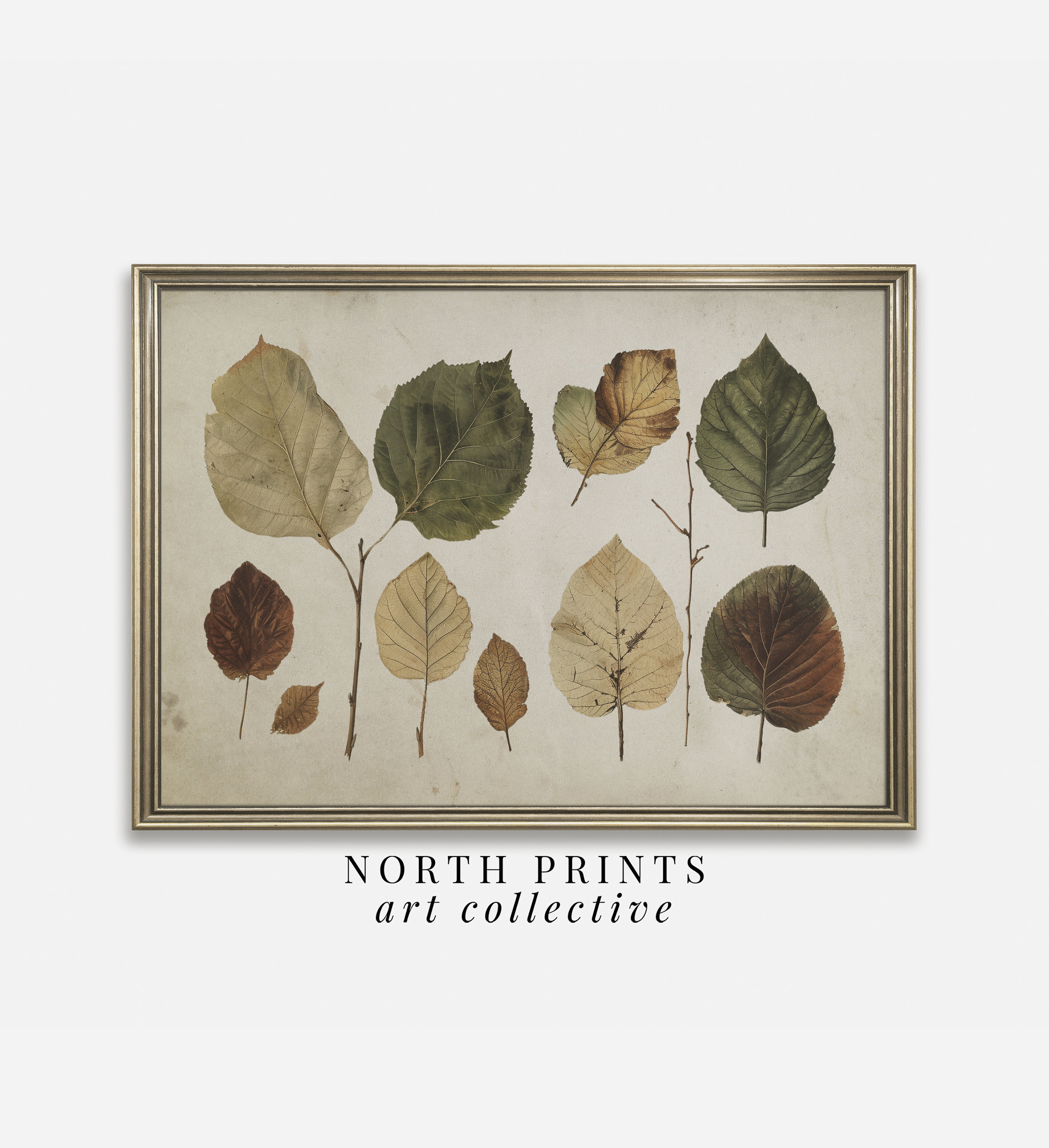 Autumn Leaves Botanical Print: Rustic Cabin Wall Decor (Digital Download) A-28