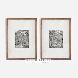 Printable Neutral Gallery Wall Landscape Art Sketch SET Vintage Prints | Farmhouse Antique Drawings Digital | North Prints | S2-106