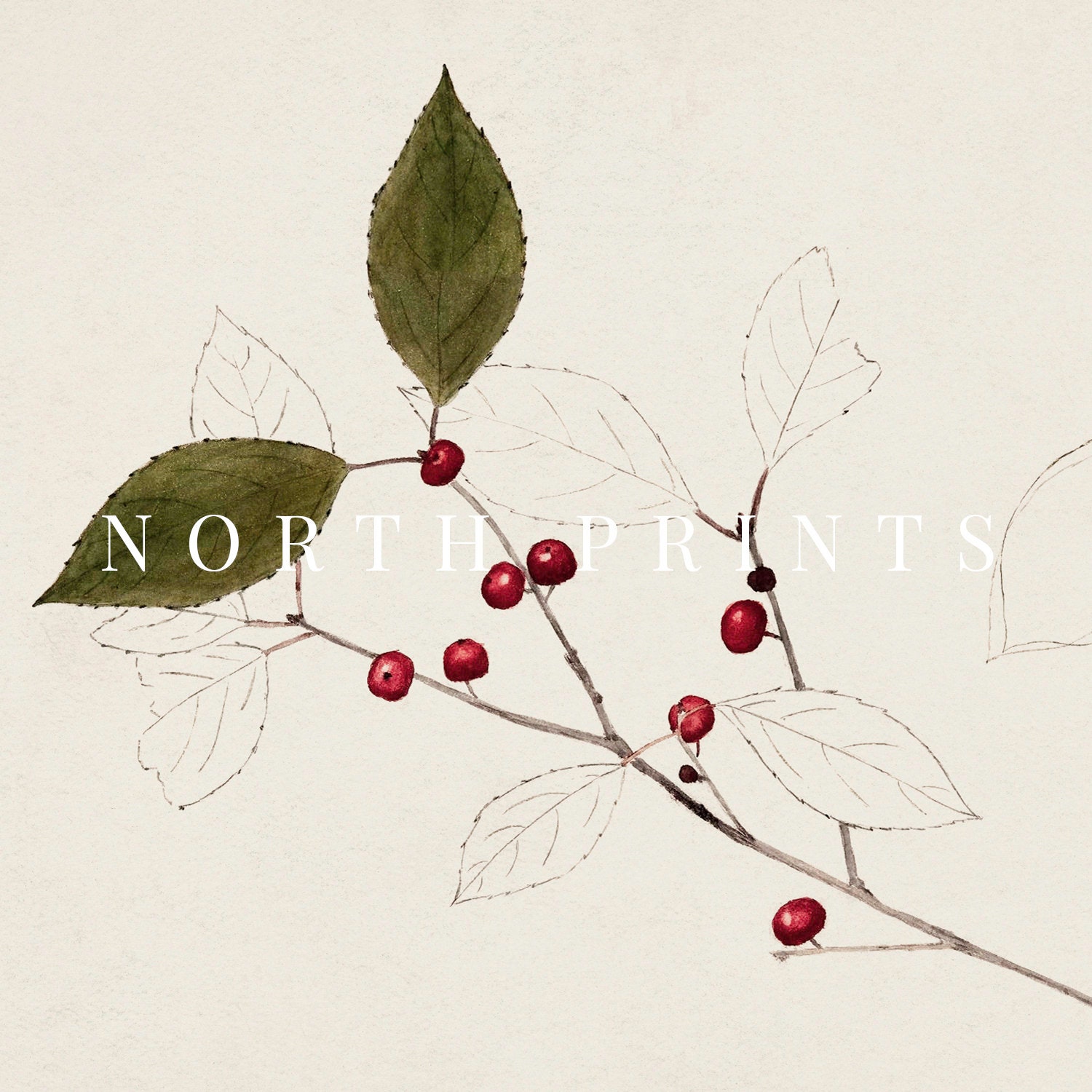 Vintage Botanical Print Simple Holiday PRINTABLE Christmas - Etsy