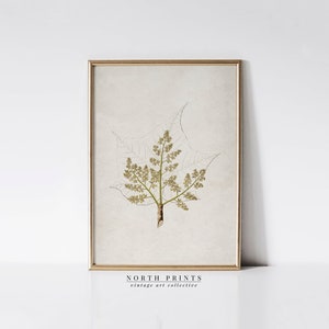 Vintage Botanical Leaf Print: Neutral Tone Antique Wall Art (Printable Digital) 5-162