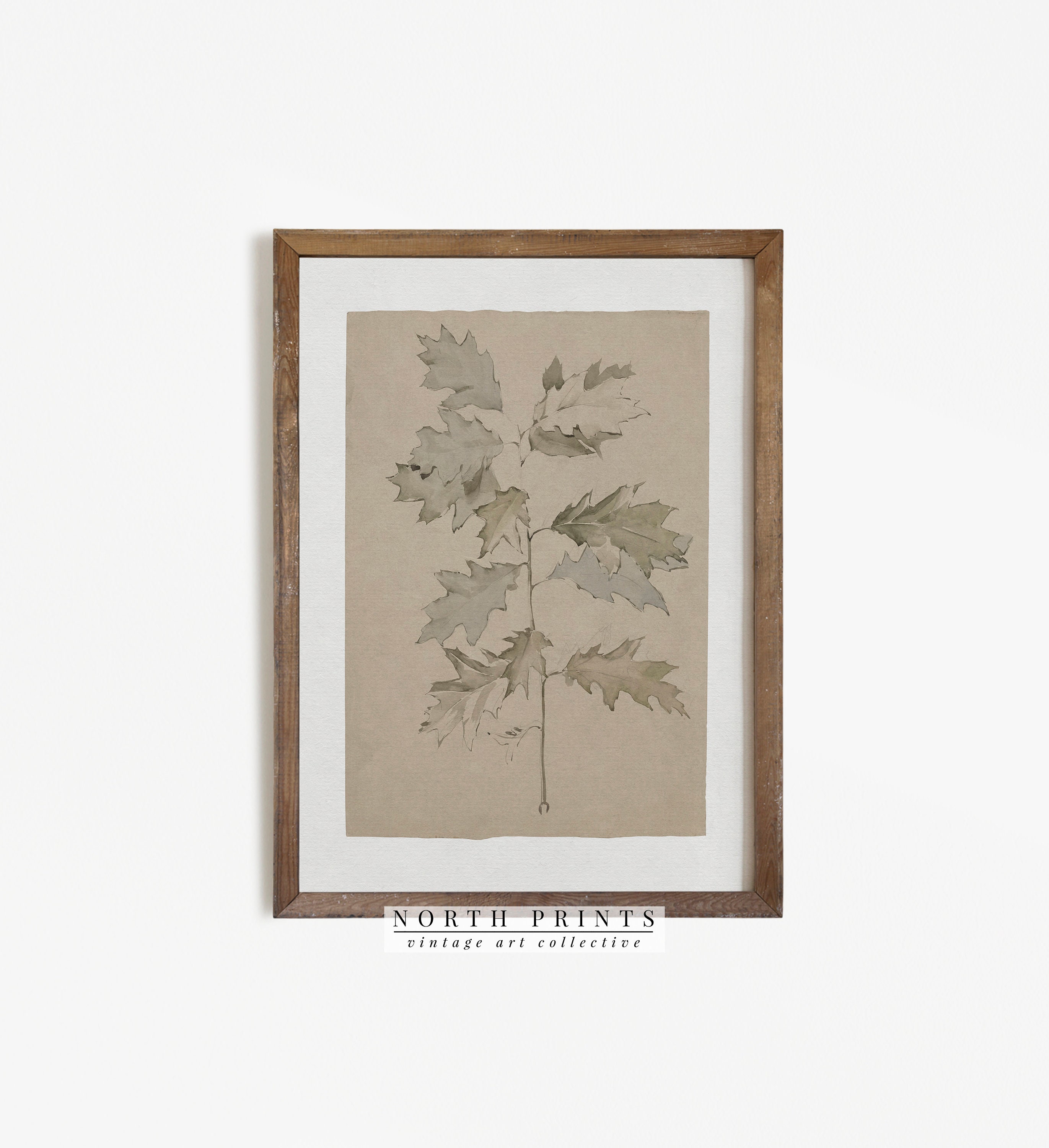 Esboço Vintage | Desenho de Ramo de Carvalho Botânico Neutro IMPRIMÍVEL North Prints #471