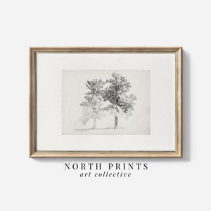 Tree Study Drawing | Vintage Minimalist Sketch | Two Trees Woodland Nursery Art PRINTABLE North Prints | 371