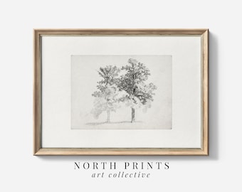 Tree Sketch Print, Vintage Minimalist Woodland Art, Digital Download Printable, North Prints 2-32
