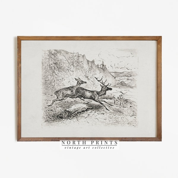 Rustic Vintage Deer Sketch | Nursery Woodland Drawing Neutral PRINTABLE Digital Antique | 782