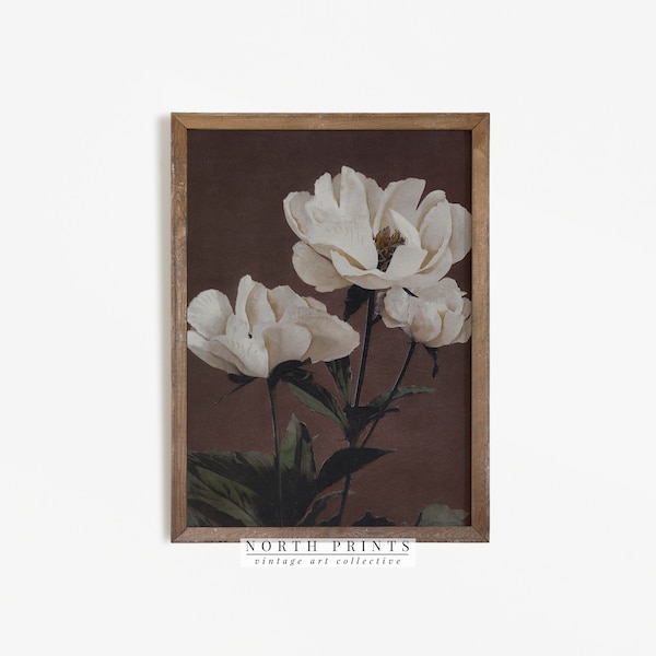 Moody Antique Flower Painting | Vintage Botanical Wall Art | PRINTABLE Download | 1110