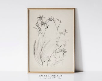 Vintage Neutral Flower Sketch | Botanical Drawing | Minimalist Print Digital PRINTABLE | 170