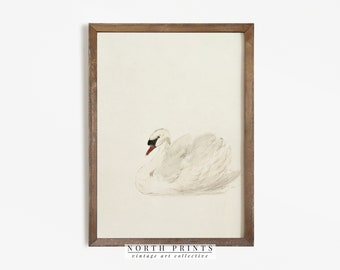 Vintage Nursery Wall Decor | Antique Swan Watercolor Print | Digital PRINTABLE | 708