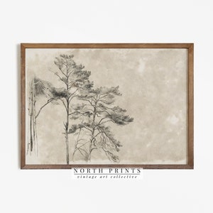 Antieke rustieke boomschets |  Neutrale vintage digitale kunst AFDRUKBARE download | Noord-prints | 3-220