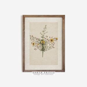 Antique Botanical Wild Flower Art Print | Vintage Soft Yellow Country PRINTABLE Art Digital Download | 1233