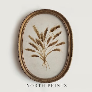 May include: An oval-shaped, ornate gold frame containing a print of a wheat sheaf. The artwork features brown stalks of wheat against a light, off-white background. The text NORTH PRINTS is printed in black at the bottom of the image.