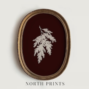 May include: An oval framed print featuring a botanical illustration of a sprig of leaves in white against a dark red background. The frame is gold with ornate detailing. The text "NORTH PRINTS" is at the bottom.