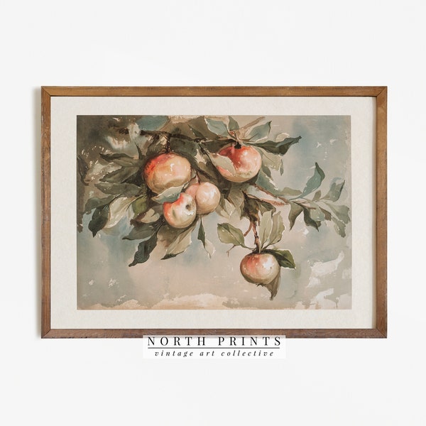 Vintage Apple Tree Print | Rustic Farmhouse Kitchen Decor Painting PRINTABLE #672