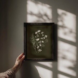 May include: A framed botanical print featuring white floral illustrations on a dark green background. The artwork is displayed in a dark wooden frame. The image is lit by natural light, casting shadows on the wall.
