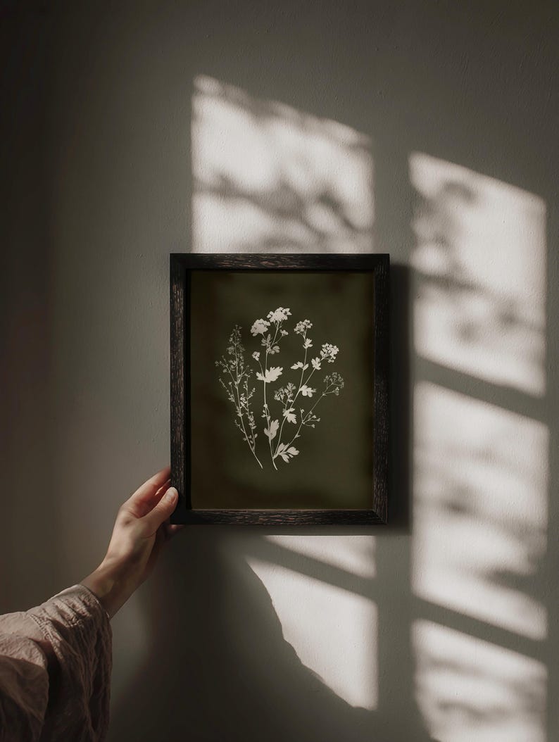 May include: A framed botanical print featuring white floral illustrations on a dark green background. The artwork is displayed in a dark wooden frame. The image is lit by natural light, casting shadows on the wall.